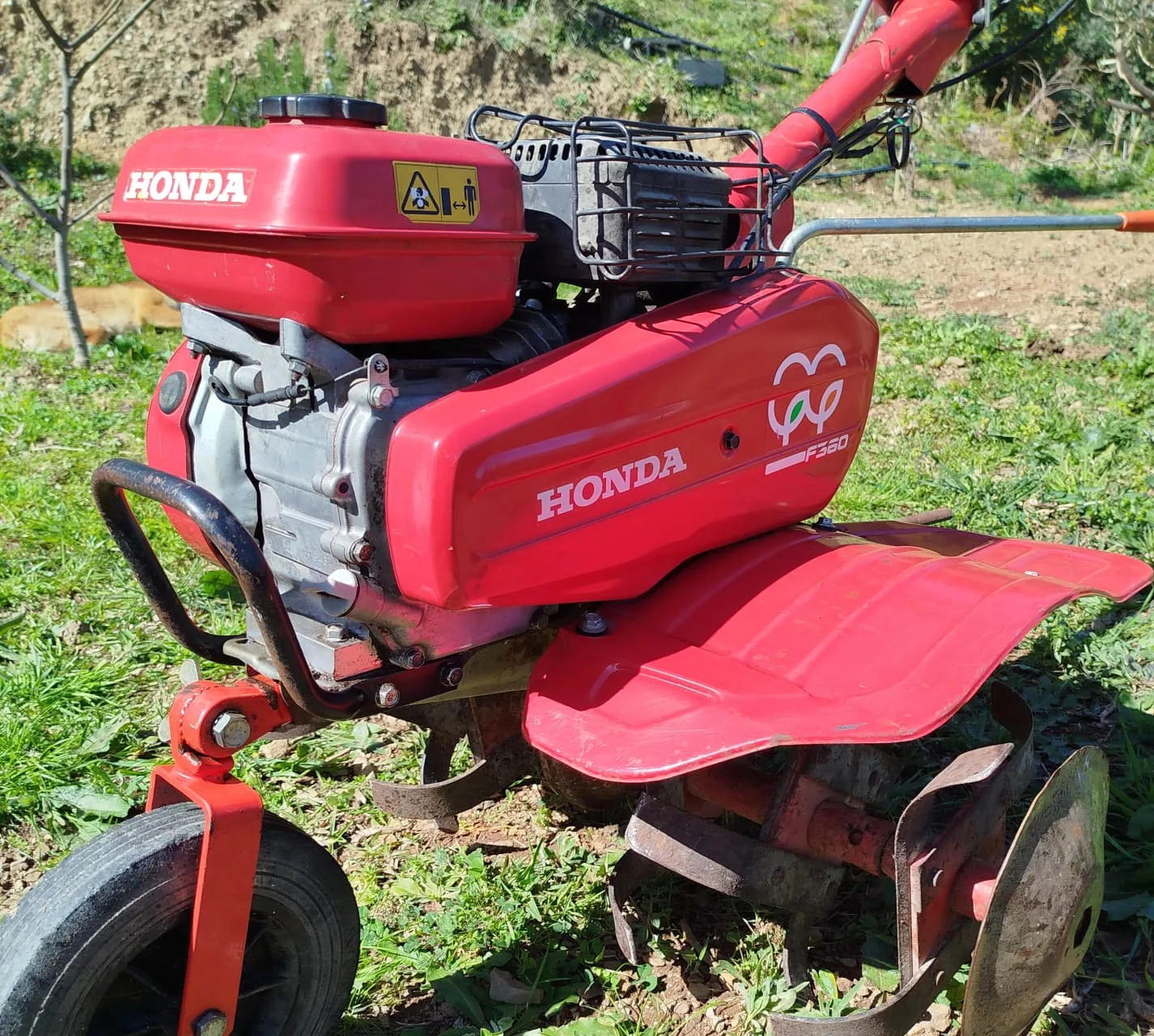 Motobineuse Honda F360