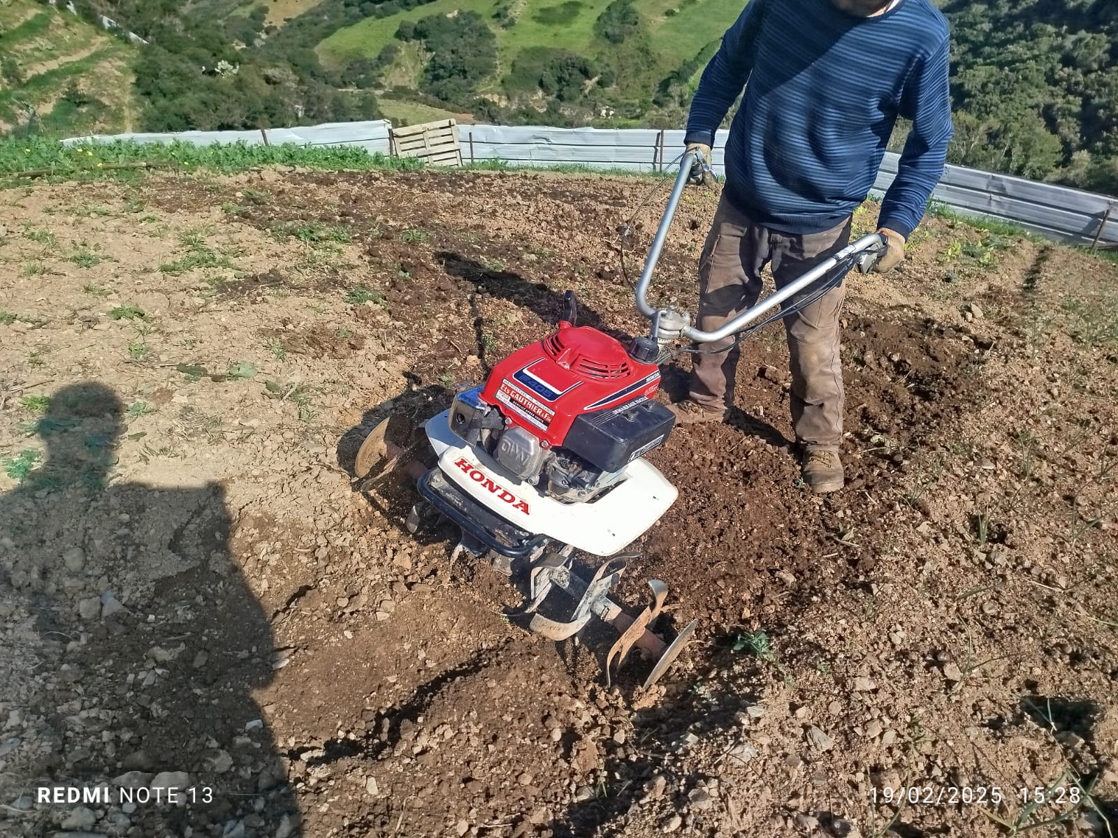 Motobineuse Honda F405 – Maroc