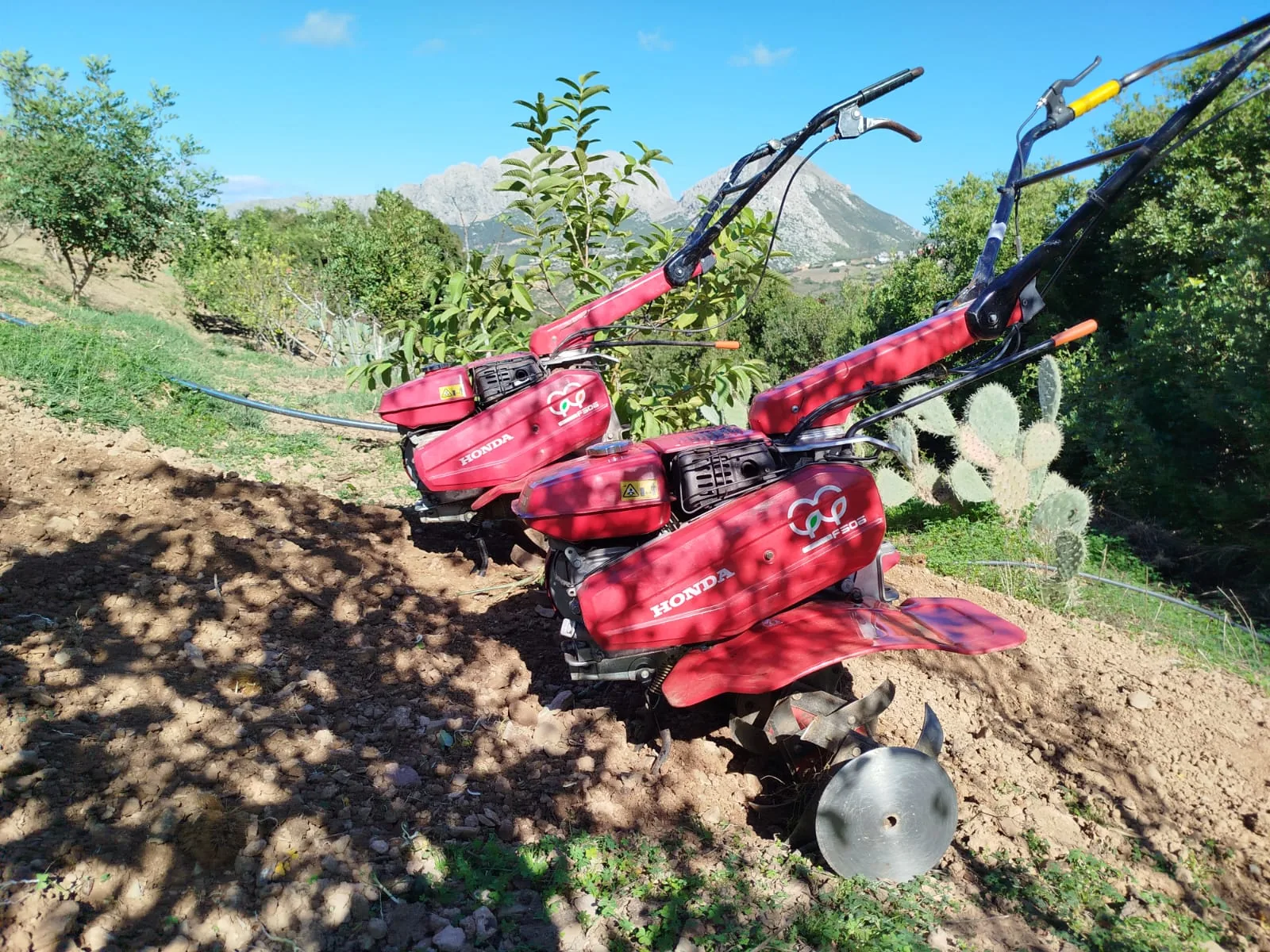 Motoculteur Honda F506 – Maroc